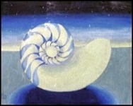 92nautilus1