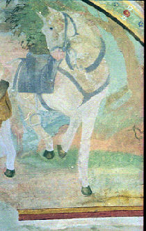 lunetta3_01_r